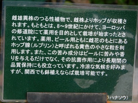 DSCN3746