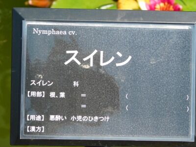 DSCN1997