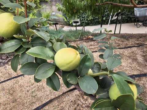 IMG_20260827_134153350_HDR