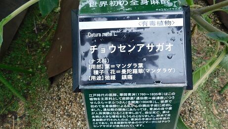 DSCN8165