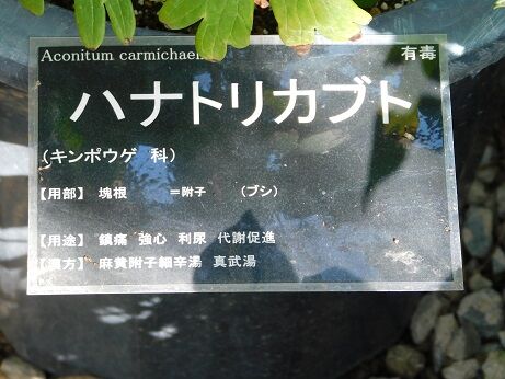 DSCN6567
