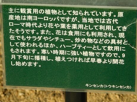 DSCN1141