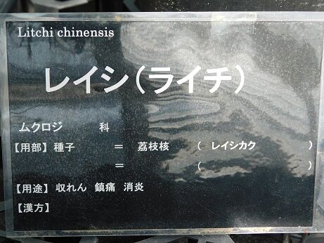 DSCN9331