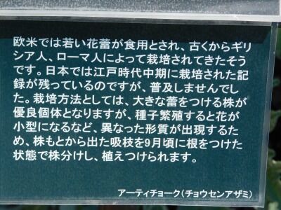 DSCN1991