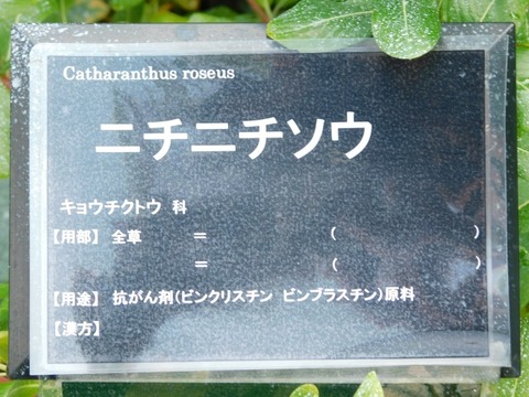 DSCN3068