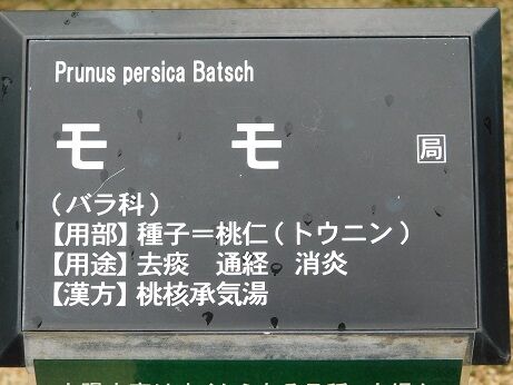 DSCN9591