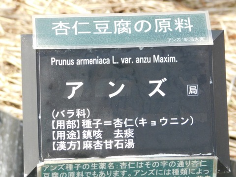 DSCN3583