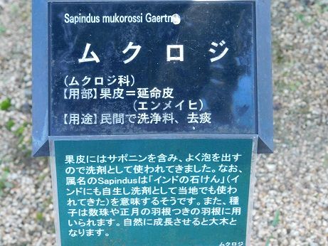 DSCN3902