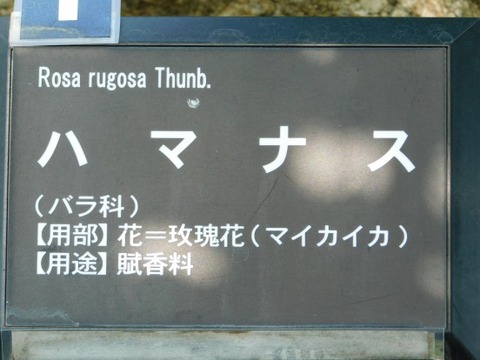 DSCN2180