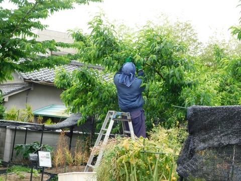 DSCN6769