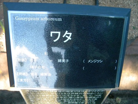 DSCN9855