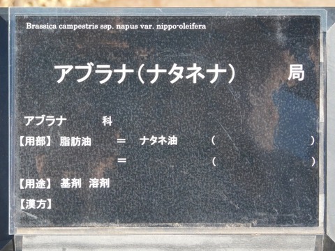 DSCN3541