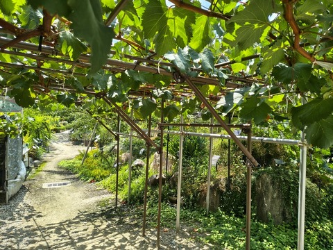 IMG_20260820_114612755_HDR