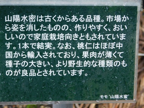DSCN4365