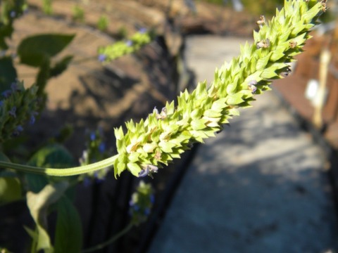 DSCN8422