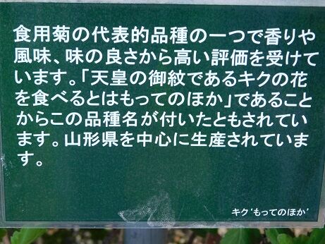 DSCN8780