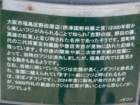 DSCN3742