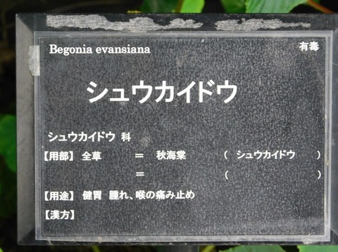 DSCN2680