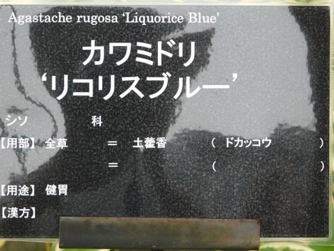 DSCN2067