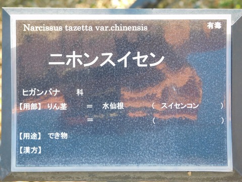 DSCN5984