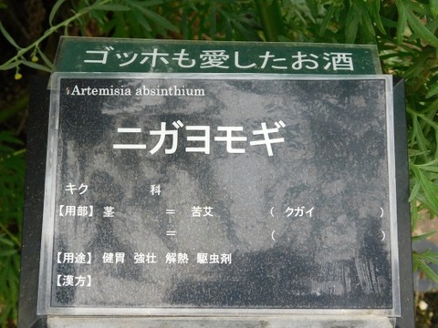 DSCN2087