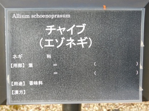 DSCN6178