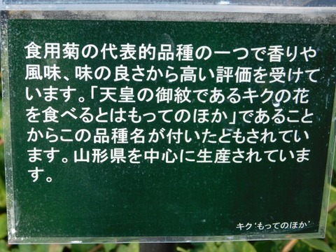 DSCN3046