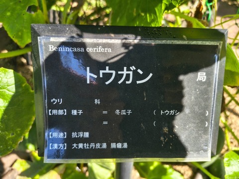 IMG_20261003_141009183_HDR