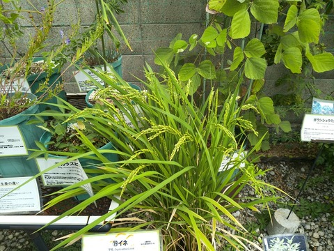 IMG_20260827_134417178_HDR