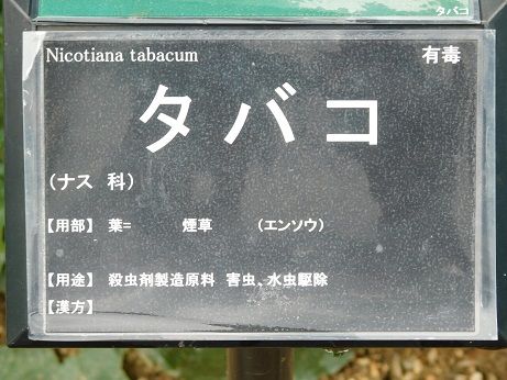 DSCN5772
