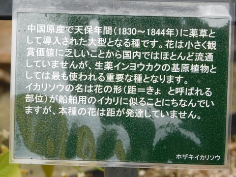 DSCN3672