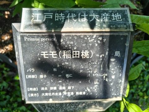 IMG_20260728_112948382_HDR