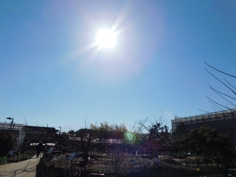 DSCN3545