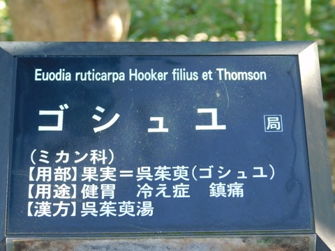 DSCN5459