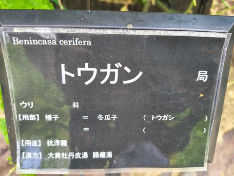 IMG_20260820_115555876_HDR