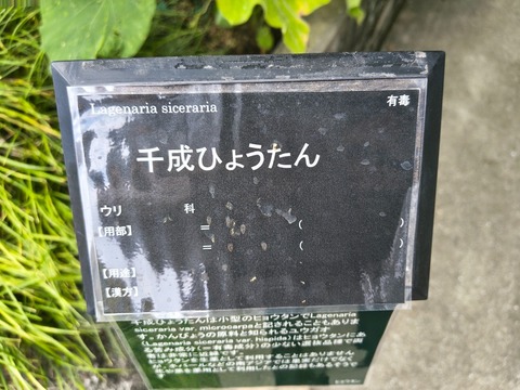 IMG_20260723_112829282_HDR