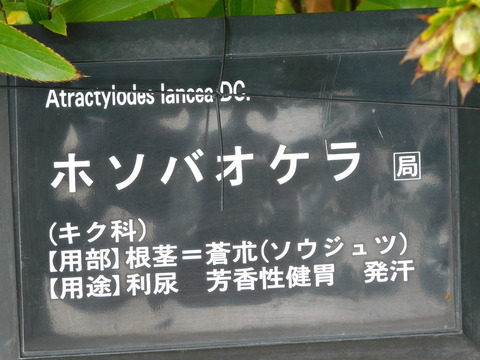 DSCN2850
