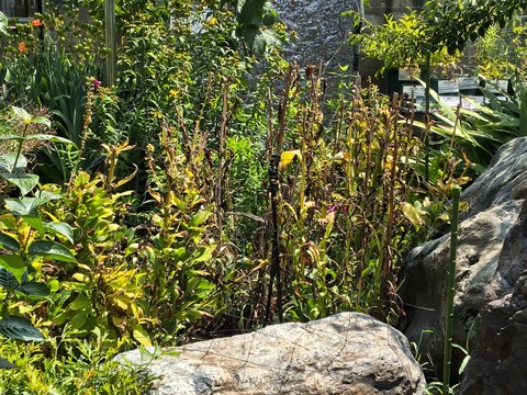 IMG_20260820_114557137_HDR
