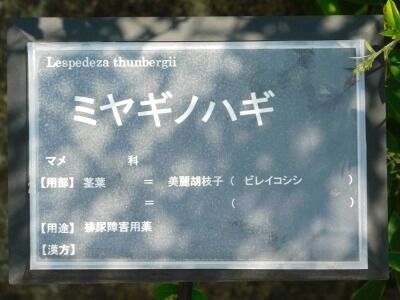 DSCN1993