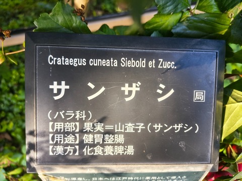 IMG_20260925_071441521_HDR