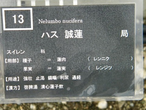 DSCN9678