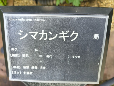 IMG_20260925_072330357_HDR