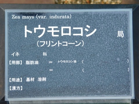 DSCN2208