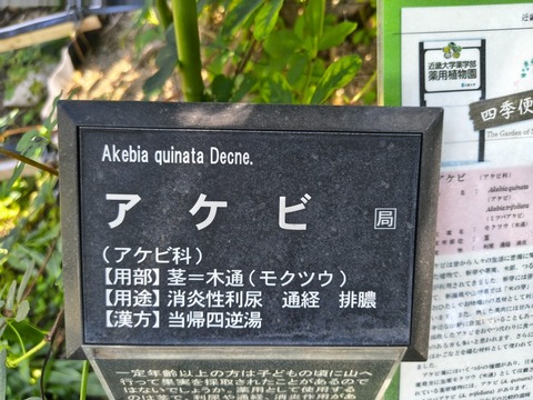 IMG_20261003_141834872_HDR