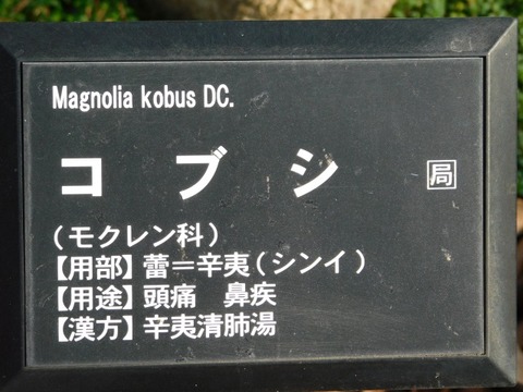 DSCN3293