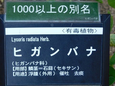 DSCN2727