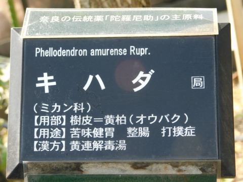 DSCN3072