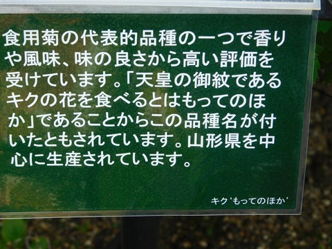 DSCN5550