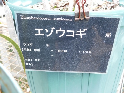 DSCN6281