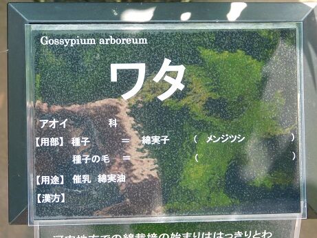 DSCN8422
